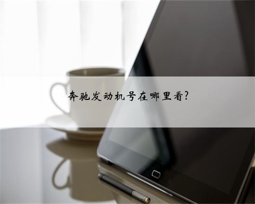 奔驰发动机号在哪里看?