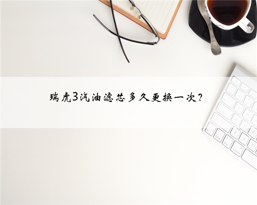 瑞虎3汽油滤芯多久更换一次？