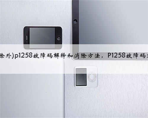 萨博(9-2X除外)p1258故障码解释和消除方法，P1258故障码怎么解决？