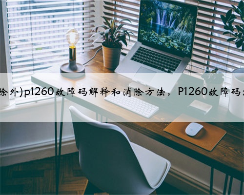 萨博(9-2X除外)p1260故障码解释和消除方法,P1260故障码怎么解决?