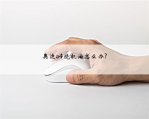 奥迪a4烧机油怎么办?