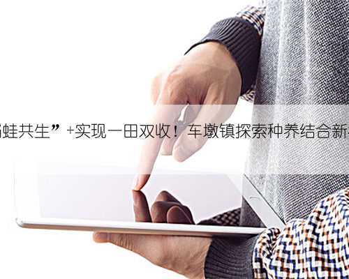 “稻蛙共生” 实现一田双收!车墩镇探索种养结合新模式