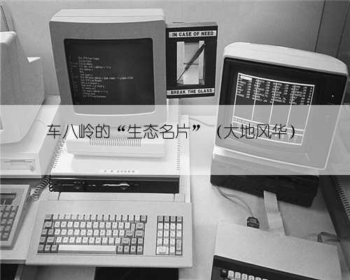车八岭的“生态名片”(大地风华)