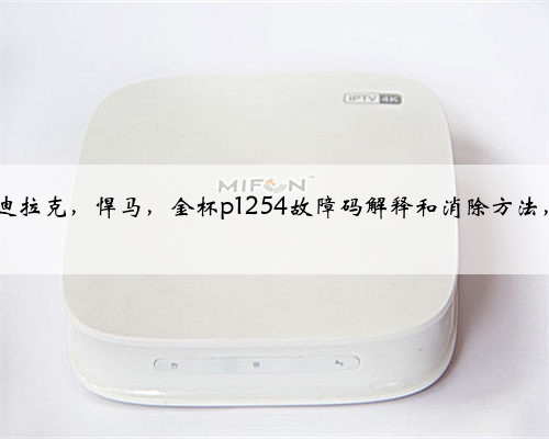 通用，别克，雪佛兰，凯迪拉克，悍马，金杯p1254故障码解释和消除方法，P12