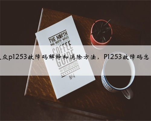 奥迪,大众p1253故障码解释和消除方法,P1253故障码怎么解决?