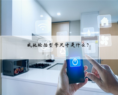 威驰轮胎型号尺寸是什么?