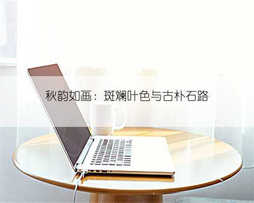 秋韵如画:斑斓叶色与古朴石路