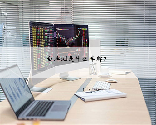 白牌sd是什么车牌？