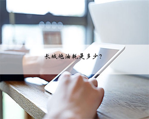 长城炮油耗是多少？