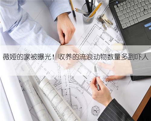 薇娅的家被曝光！收养的流浪动物数量多到吓人