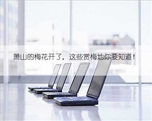 萧山的梅花开了,这些赏梅地你要知道!