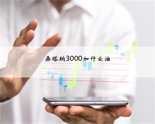 桑塔纳3000加什么油