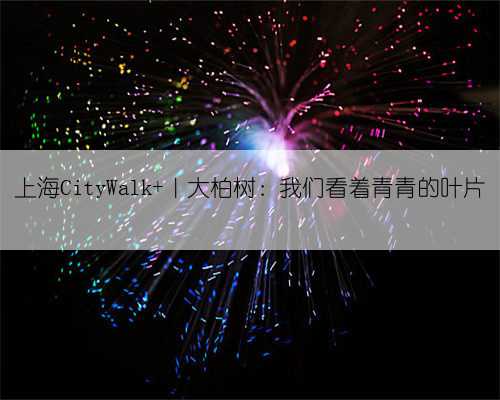 上海CityWalk |大柏树:我们看着青青的叶片