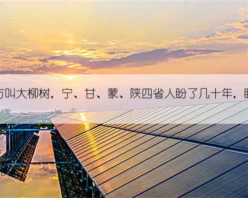 有个地方叫大柳树,宁、甘、蒙、陕四省人盼了几十年,盼啥呢?