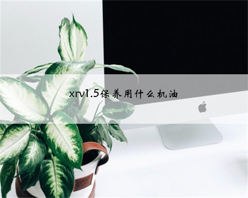xrv1.5保养用什么机油