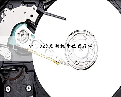 宝马525发动机号位置在哪