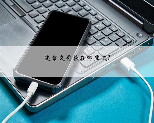违章交罚款在哪里交?
