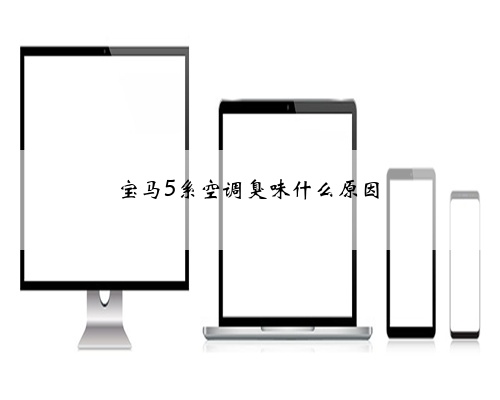 宝马5系空调臭味什么原因