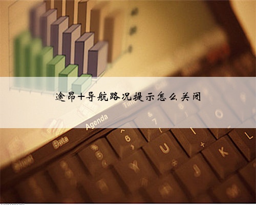 途昂 导航路况提示怎么关闭