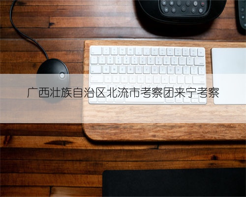 广西壮族自治区北流市考察团来宁考察