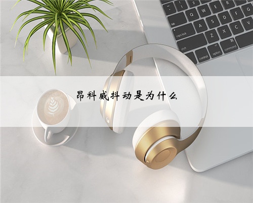 昂科威抖动是为什么