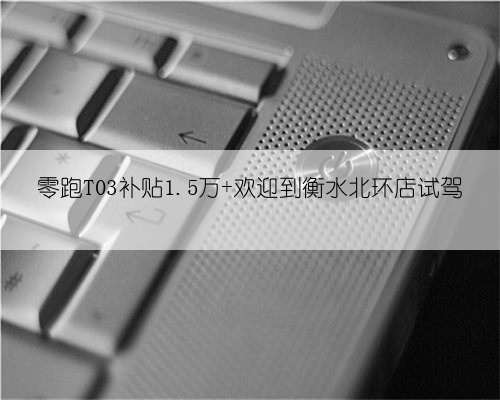 零跑T03补贴1.5万 欢迎到衡水北环店试驾