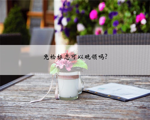 免检标志可以晚领吗?