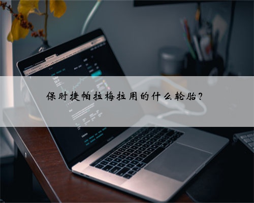 保时捷帕拉梅拉用的什么轮胎?