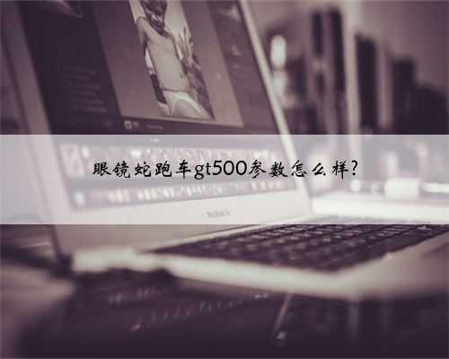 眼镜蛇跑车gt500参数怎么样?