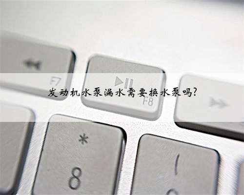 发动机水泵漏水需要换水泵吗?