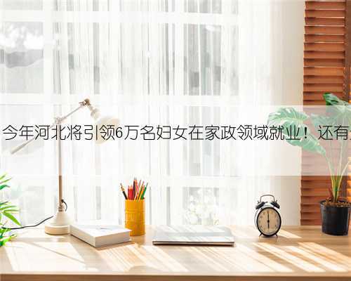 【新闻早茶】今年河北将引领6万名妇女在家政领域就业！还有这些热点……