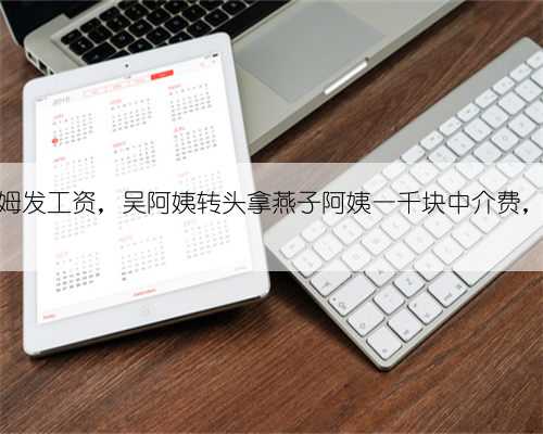 妍伊给保姆发工资，吴阿姨转头拿燕子阿姨一千块中介费，不要脸。