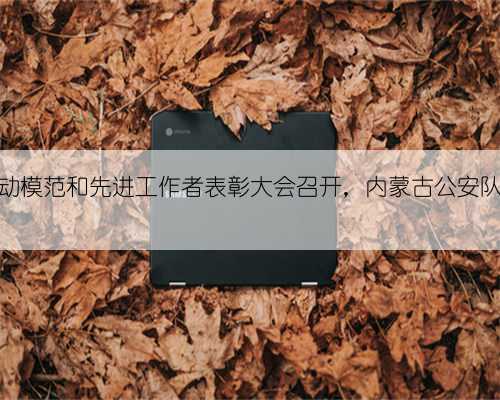 警徽荣耀！全区劳动模范和先进工作者表彰大会召开，内蒙古公安队伍18人接受