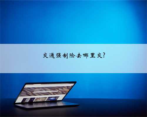 交通强制险去哪里交?