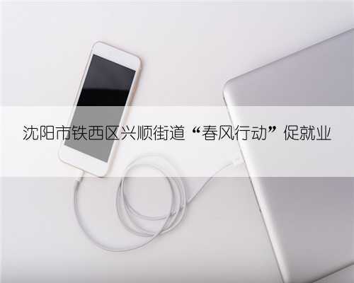 沈阳市铁西区兴顺街道“春风行动”促就业