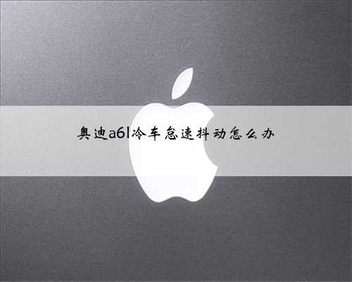 奥迪a6l冷车怠速抖动怎么办