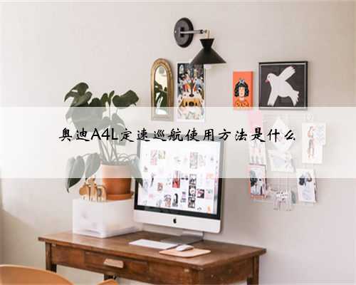 奥迪A4L定速巡航使用方法是什么