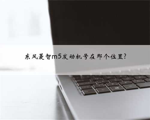 东风菱智m5发动机号在那个位置?