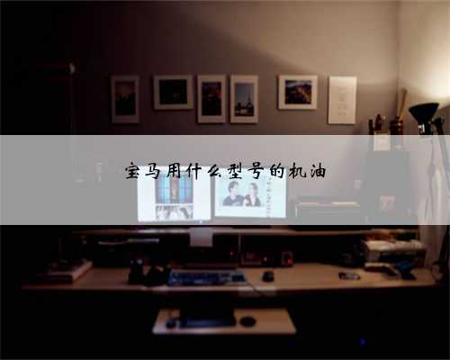 宝马用什么型号的机油