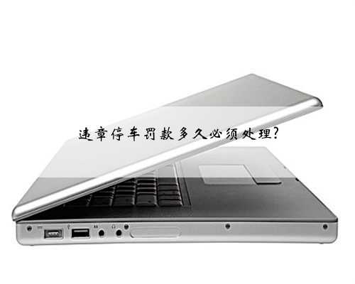 违章停车罚款多久必须处理?