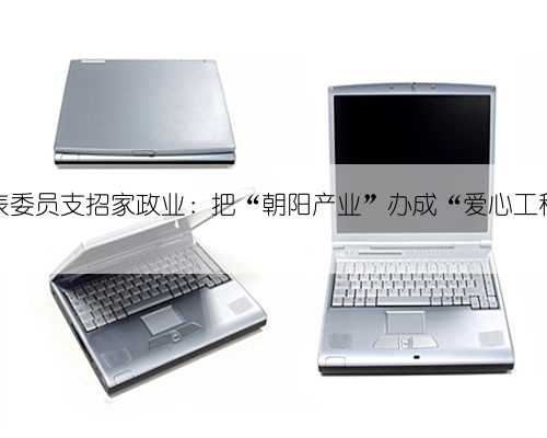 代表委员支招家政业：把“朝阳产业”办成“爱心工程”