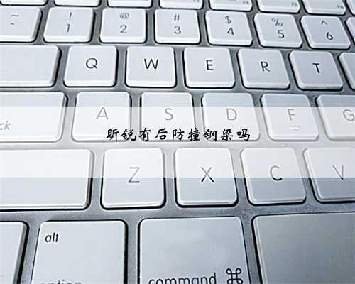 昕锐有后防撞钢梁吗