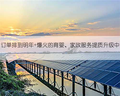订单排到明年 爆火的育婴、家政服务提质升级中