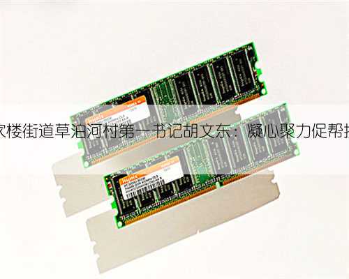 青岛西海岸新区张家楼街道草泊河村第一书记胡文东:凝心聚力促帮扶,真抓实