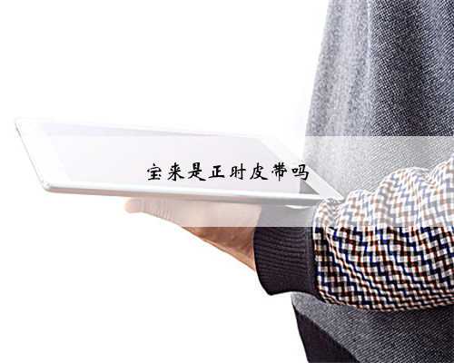 宝来是正时皮带吗
