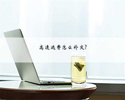 高速逃费怎么补交?