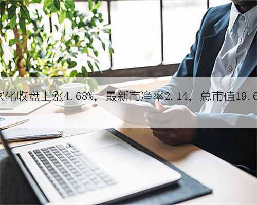 嘉亨家化收盘上涨4.68%，最新市净率2.14，总市值19.61亿元
