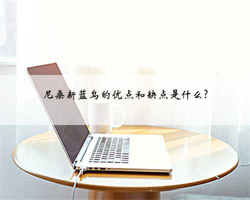 尼桑新蓝鸟的优点和缺点是什么?