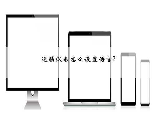 速腾仪表怎么设置语言?