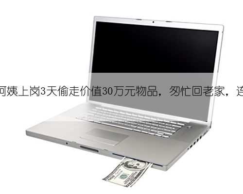 上海一家政阿姨上岗3天偷走价值30万元物品，匆忙回老家，连工资都没要